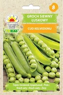 Nasiona i cebule - Groch siewny łuskowy CUD KELVEDONU (wczesny) Pisum sativum L. - miniaturka - grafika 1