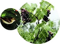 Agrowłókniny - vidaXL Green>it® fuglenet 25×25 mm x 6×6 meter - miniaturka - grafika 1