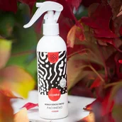 Akcesoria medycyny naturalnej - KLAREKO Klareko Pachnidło Piernikowe 250 ml - miniaturka - grafika 1