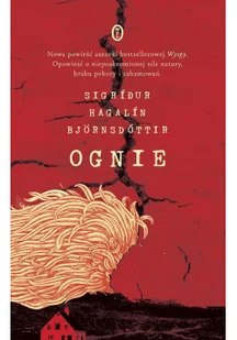 Ognie Miłość i inne katastrofy - Literatura obyczajowa - miniaturka - grafika 2