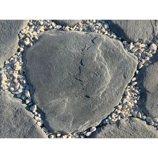 Płyta dekoracyjna Kamień Łupany Ścieżkowiec 30-45 cm - Kostki brukowe i krawężniki - miniaturka - grafika 1