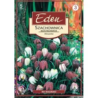 Nasiona i cebule - Szachownica Fritillaria Meleagris 5 sztuk Eden - miniaturka - grafika 1