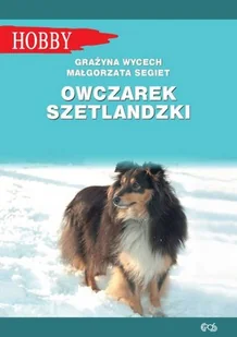 Owczarek szetlandzki Nowa - Rośliny i zwierzęta - miniaturka - grafika 1