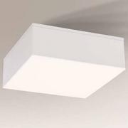 Lampy sufitowe - Shilo TOTTORI IL 8403 downlight natynkowy 1x10W/LED 4000K IP20 8403 - miniaturka - grafika 1