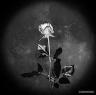 Rock - Ryszard Kramarski Project - Music Inspired By The.. - miniaturka - grafika 1