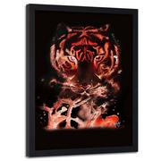 Plakaty - Plakat w ramie czarnej FEEBY, Tygrys na czerwonym tle, 70x100 cm - miniaturka - grafika 1