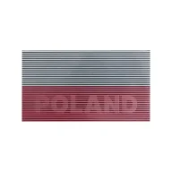 Odzież taktyczna i umundurowanie - Naszywka Direct Action Polish Large Patch Flag - Biała/Czerwona - miniaturka - grafika 1