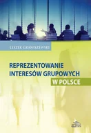 Filozofia i socjologia - Graniszewski Leszek Reprezentowanie interesów grupowych w polsce - mamy na stanie, wyślemy natychmiast - miniaturka - grafika 1