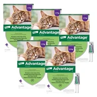 Artykuły przeciw pasożytom - Krople na pchły BAYER Advantage Duże koty 20 x 0.8 ml - miniaturka - grafika 1