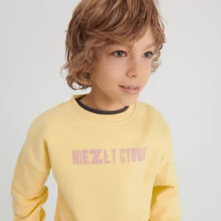 Bluzy dla chłopców - Reserved Reserved - Oversizowa bluza z napisem - Żółty - grafika 1