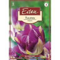 Nasiona i cebule - Tulipan Triumph Hotpants 5 sztuk Eden - miniaturka - grafika 1