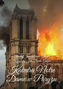 Katedra Notre Dame w Paryżu - E-booki - kultura i sztuka - miniaturka - grafika 1