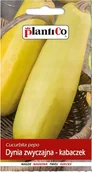 Nasiona i cebule - NASIONA Dynia Zwyczajna Kabaczek Złoty Cepelin 2g PLANTICO 401976 - miniaturka - grafika 1