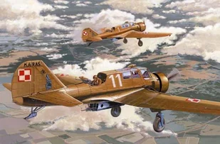 Mirage Hobby PZL23A Karas early version - Modele do sklejania - miniaturka - grafika 2