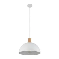 Lampy sufitowe - Oslo lampa wisząca 1-punktowa biała 4851 - miniaturka - grafika 1