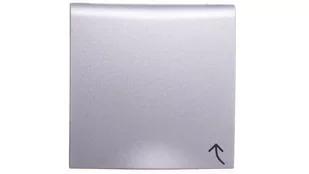 Hager BERKER B.KWADRAT Płytka czołowa do gniazda z uziemieniem z przesłonami z pokrywą IP44 aluminium mat lakierowany 3965838994 3965838994/HAG - Klawisze i ramki - miniaturka - grafika 1
