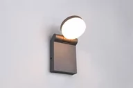 Lampy ogrodowe - Adour kinkiet zewnętrzny elewacyjny 1xLED/10W antracyt 245560142 - miniaturka - grafika 1