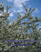 Horror, fantastyka grozy - Brylantowa strzała. Opowieści niezwykłe - miniaturka - grafika 1