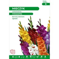 Nasiona i cebule - Mieczyk 100-120 cm mieszanka 12/14 - miniaturka - grafika 1