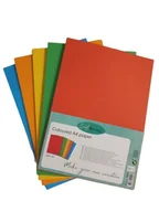 Papier do drukarek - PAPIER kolorowy do druku Coloured A4 250 arkuszy 80 g/m² CRAFT&DESIGN - miniaturka - grafika 1