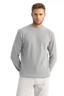 DeFacto Męska bluza, szary, XL - Bluzy męskie - miniaturka - grafika 1