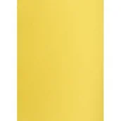 Scrapbooking - KARTON TOP A3 160G 57 KANAR - miniaturka - grafika 1