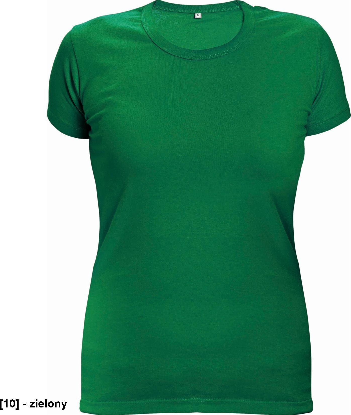 CERVA SURMA - t-shirt - zielony M