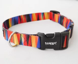 Obroża Regulowana dla Psa Psiakrew Summer Time szeroka na 2,5 cm, dla średnich i większych psów-XXL 38-52 cm - Obroże dla psów - miniaturka - grafika 1