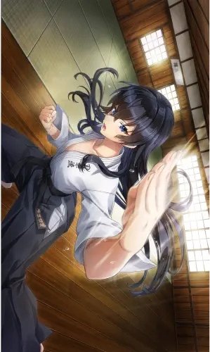 Plakat Anime Dolphin Wave DELPHW_039 A2 (custom)