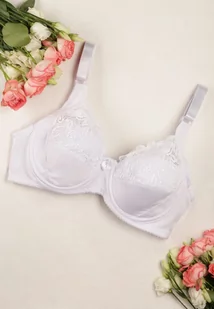 Biały Klasyczny Biustonosz z Subtelną Koronką Femnia - Biustonosze - miniaturka - grafika 1
