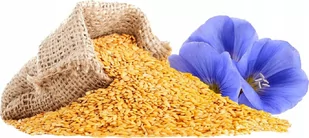 Len złoty Siemię siemie lniane złote złociste Budwigowe 500 g - Przyprawy i zioła sypkie - miniaturka - grafika 1