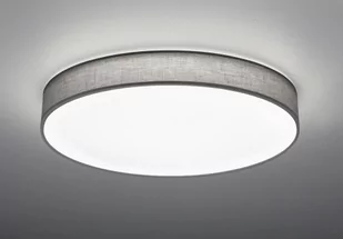 Trio Oświetlenie LUGANO Lampa Sufitowa LED Siwy, 1-punktowy 621915511 - Lampy sufitowe - miniaturka - grafika 1