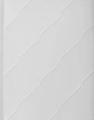 Albumy - historia - Dominik Lejman Płot - katalog do wystawy - miniaturka - grafika 1