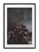 Plakaty - Plakat B2 50x70 cm Roślina Floral Kwiat WZORY - miniaturka - grafika 1