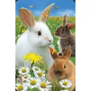 Minikartka 3D Królik WORTH-KEEPING - Przybory szkolne - miniaturka - grafika 2