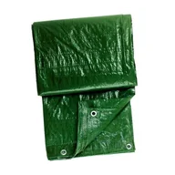 Folie i taśmy malarskie - Plandeka tkana 6 m² 2 x 3 m z kluczkami - miniaturka - grafika 1