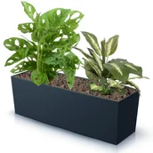 Donice - Skrzynka balkonowa wkład gładka 58x19cm antracyt - miniaturka - grafika 1