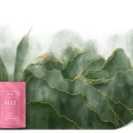 Fototapety - FOTOTAPETA DO SYPIALNI SALONU AWARELE ZIELONE LIŚCIE STYL GLAMOUR 500x350 - miniaturka - grafika 1