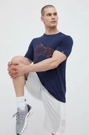 Koszulki męskie - Viking t-shirt sportowy Lenta kolor szary z nadrukiem - miniaturka - grafika 1