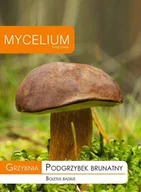 Nasiona i cebule - Grzybnia Podgrzybek brunatny 10 g - miniaturka - grafika 1