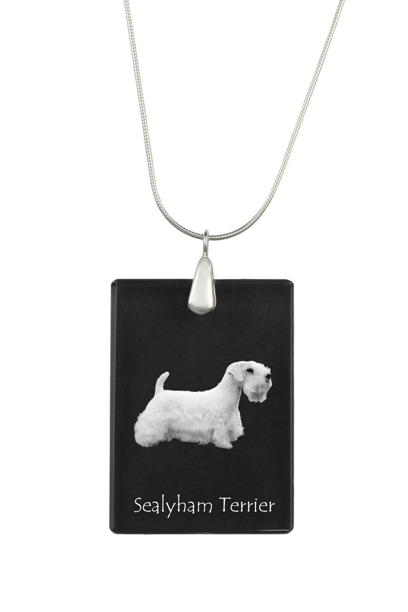 Sealyham Terrier - kryształowa zawieszka z psem, srebrny naszyjnik ze zdjęciem, personalizowany wisiorek marki Art-Dog