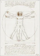 Plakaty - Vitruvian Man, Leonardo Da Vinci -  plakat Wymiar do wyboru: 50x70 cm - miniaturka - grafika 1