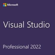 Programy biurowe - Microsoft Visual Studio Professional 2022 DG7GMGF0D3SJ-0003 - miniaturka - grafika 1