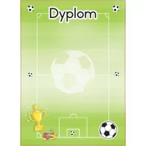 Beniamin Beniamin DYPLOMY SPORTOWE BOISKO Beniamin AH301BEN - Dyplomy i okładki - miniaturka - grafika 1