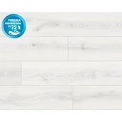 Panele podłogowe - Classen Panel podłogowy Dąb Bergen 8 mm AC5 - miniaturka - grafika 1