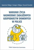Biznes - Warunki życia nadmiernie zadłużonych gospodarstw domowych w Polsce - Grzegorz Wałęga - ebook - miniaturka - grafika 1