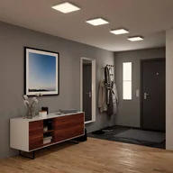 Lampy pozostałe - Paulmann Velora panel LED 3-step-dim, 59,5x29,5 cm - miniaturka - grafika 1