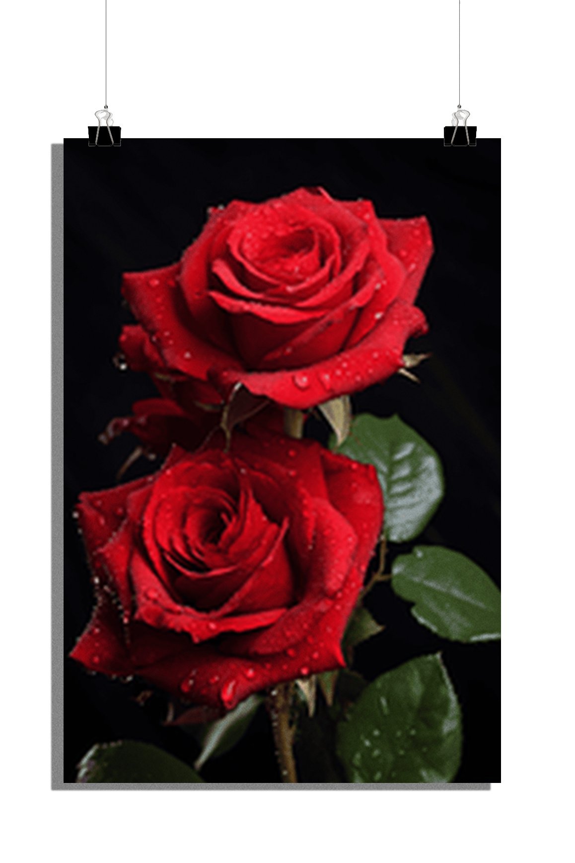 Plakat Kwiaty - Plakat Róże - Romantyczny Plakat - Elegancki Plakat - Piękny Plakat - 61x91cm - Idealny do oprawienia w ramę