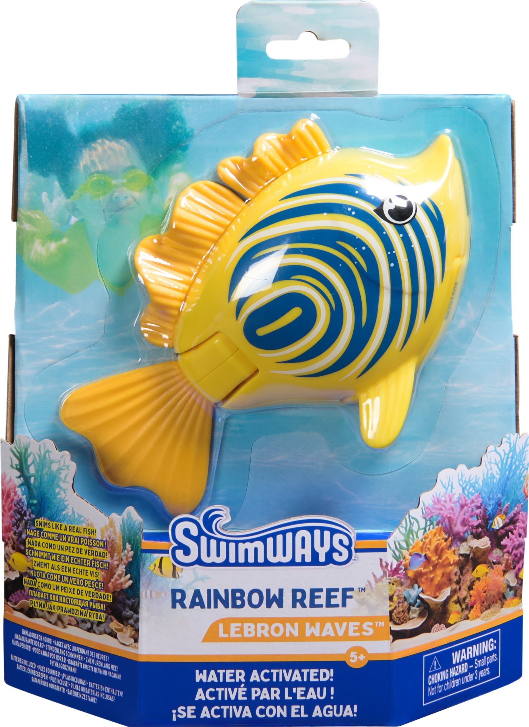 Rainbow Reef Fish - Zebra Fish