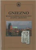 Pozostałe języki obce - Gniezno wczesnośredniowieczny zespół grodowy - miniaturka - grafika 1
